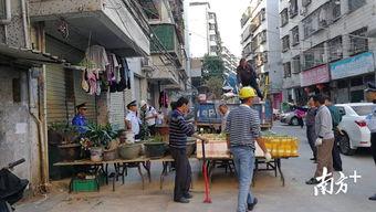 江南新村爆料视频大全最新,揭秘社区生活百态